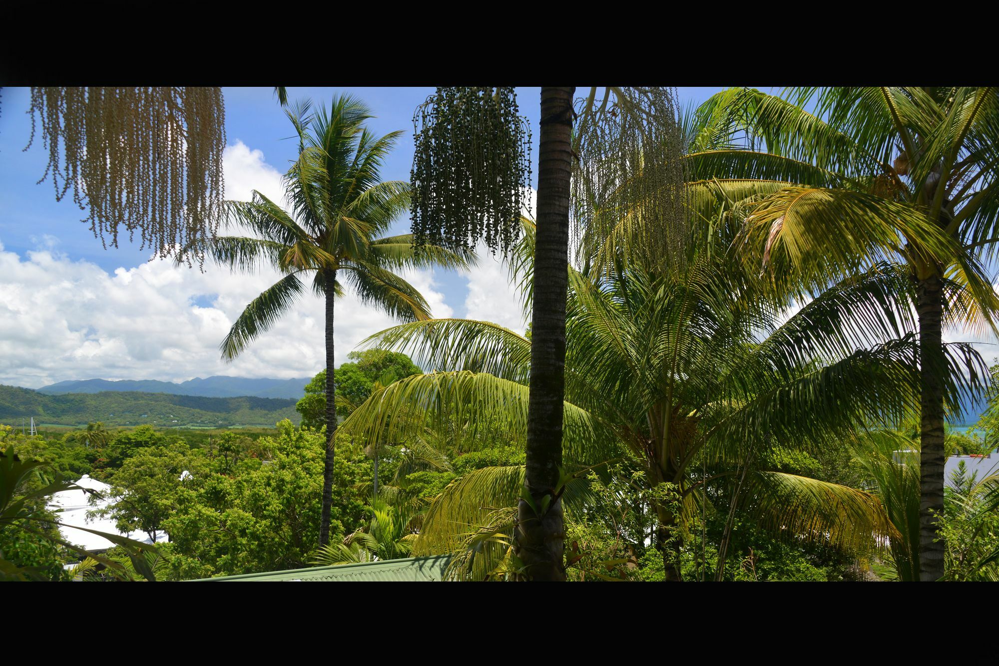 Monsoon Villa B - Luxury Holiday Villa Port Douglas Eksteriør bilde