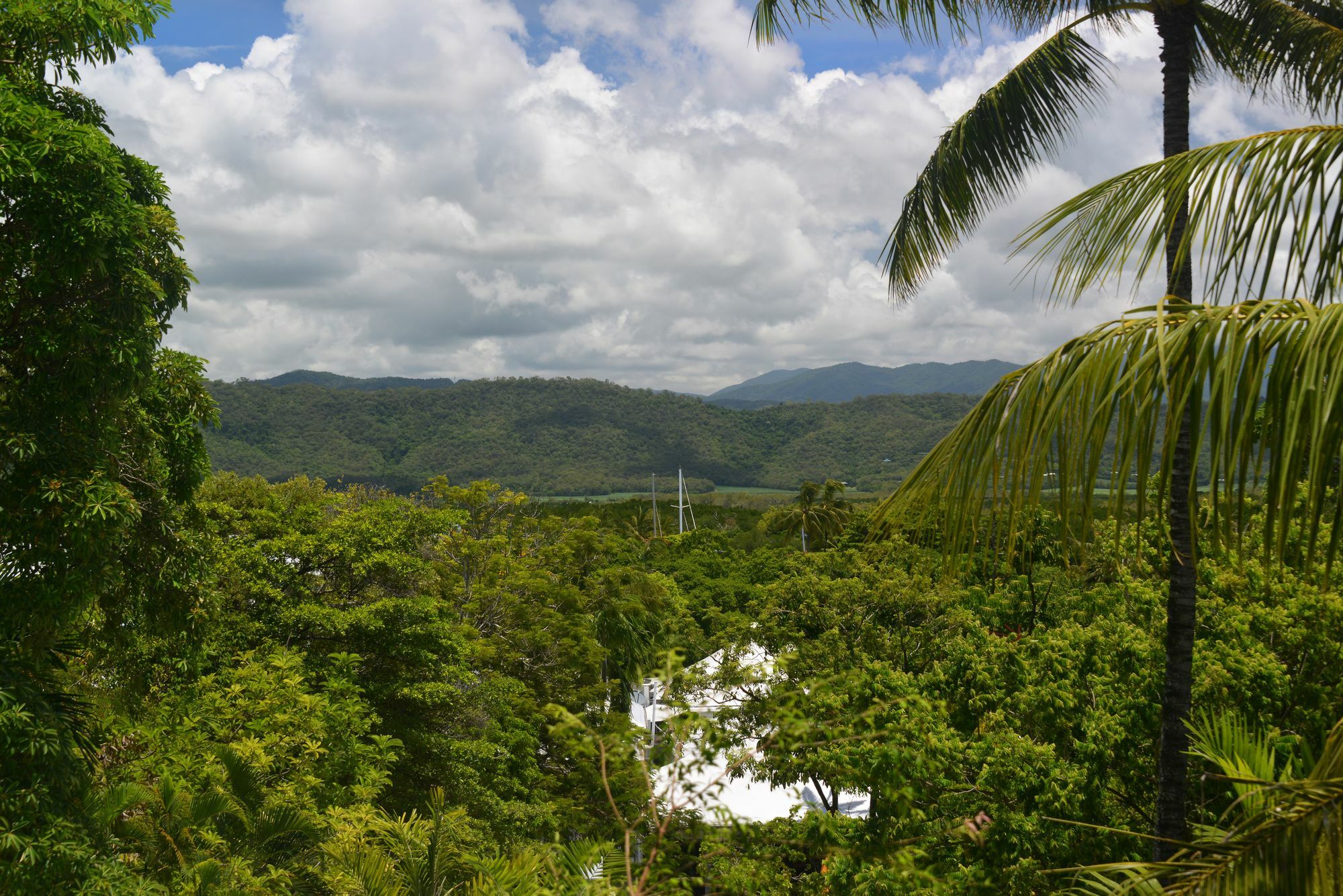 Monsoon Villa B - Luxury Holiday Villa Port Douglas Eksteriør bilde